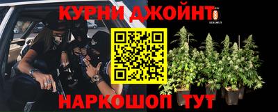 дурь Новозыбков