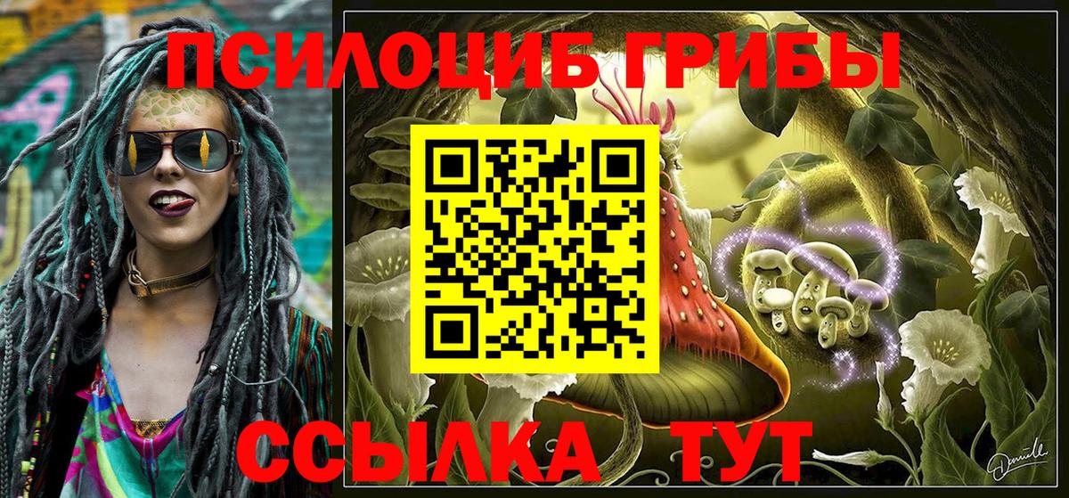 Псилоцибиновые грибы Magic Shrooms Ступино